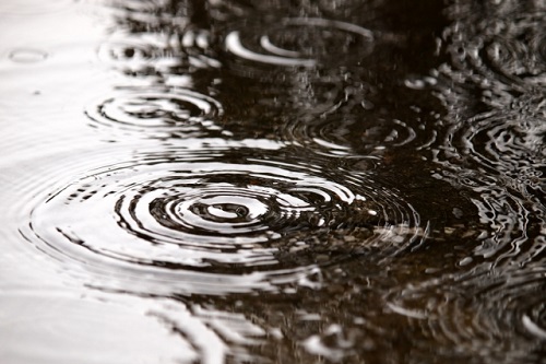 雨漏り対策を意識すべき時期とは